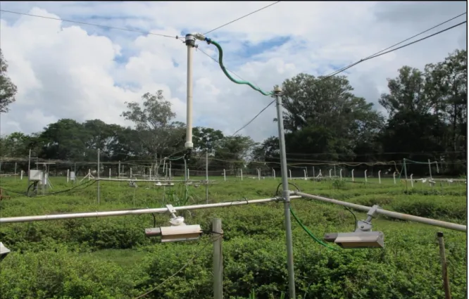 Fig. FACE 24. Water sprinklers suspended at the center of the plot. 