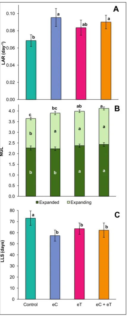Fig 2.2 Leaf appearance rate (LAR, A),  number of  green leaves (NGL, B), and  leaf  lifespan  (LLS,  C)  per  tiller  of  Panicum maximum under ambient CO 2