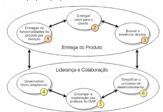 Figura 6 -  Seis Princípios para a aplicação do GAP  