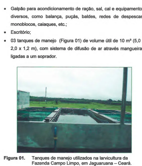 Figura 01.  Tanques de manejo utilizados na larvicultura da  Fazenda Campo Limpo, em Jaguaruana — Ceará