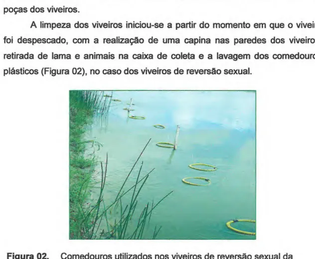 Figura 02.  Comedouros utilizados nos viveiros de reversão sexual da  Fazenda Campo Limpo, em Jaguaruana — Ceará