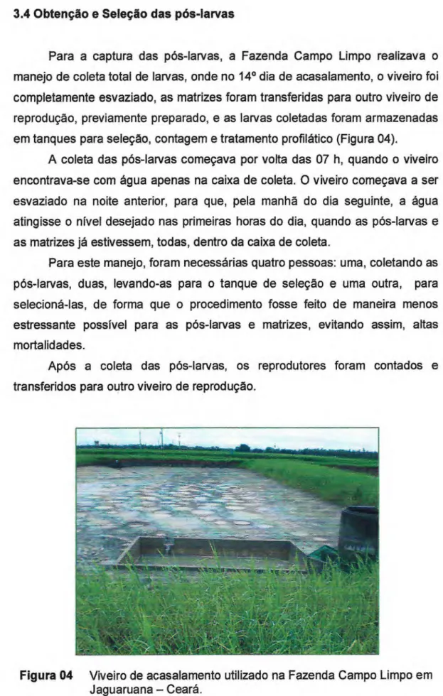 Figura 04  Viveiro de acasalamento utilizado na Fazenda Campo Limpo em  Jaguaruana — Ceará