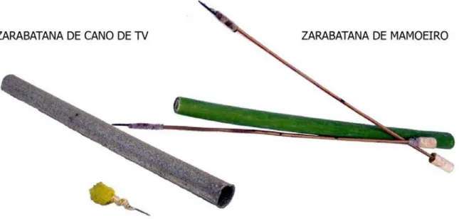 Figura 6 – Zarabatanas 