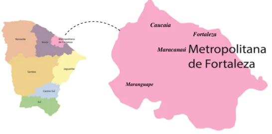 Figura 03 – O ensino superior na Mesorregião Metropolitana de Fortaleza  
