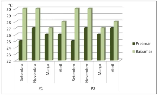 Gráfico 5 - Representação das variações de temperatura do ar nos períodos e pontos de coleta.