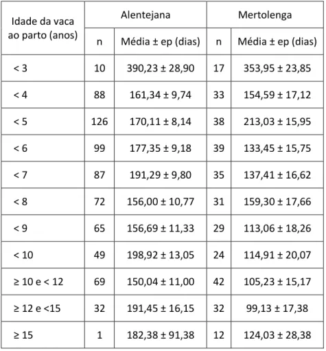 Tabela 31 - Média de IPB, em função idade da vaca ao parto, nas raças Alentejana e Mertolenga