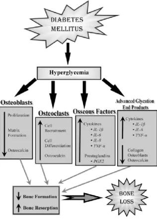 Figura 8. Influência da hiperglicemia no processo de osteointegração (Javed and Romanos, 2009)