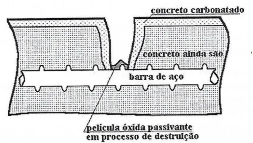 Figura 6 - Carbonatação da estrutura de concreto 