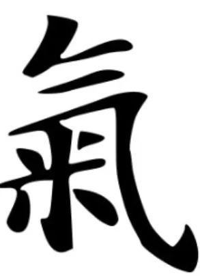Figura 2- Símbolo (Kanji) que corresponde ao Ki.