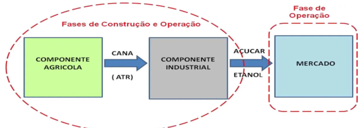 Figura 10 - Componentes Agrícola e Industrial e suas interações com as fases de construção e  operação 