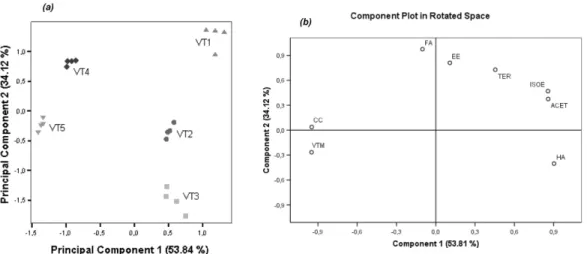 Figure 4. Principal component 1 vs. principal component 2 scatter plot of the main sources of variability between Terras Madeir- Madeir-enses red wines (VT1 – VT5)