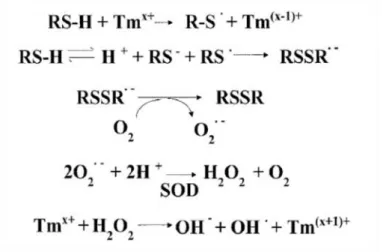 Figure 15 - Hcys oxidation. Legend: RS-H| Hcys; Tm x+ | transition metal; RSSR| Disulphide; O 2 .- | Superoxide anion radical; SOD| 