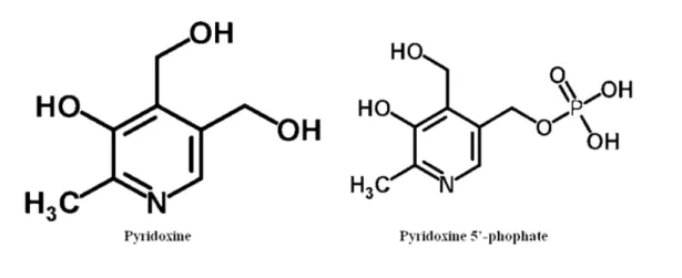 Figure 18 - Pyridoxine and Pyridoxine 5’-phospate structures. Image adapted from Royal Society of Chemistry [75, 76]