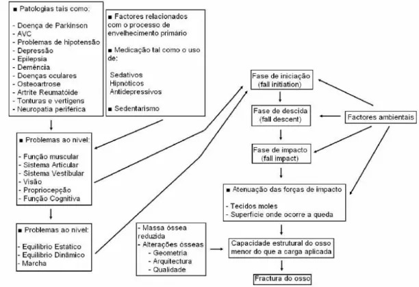 Figura 2. Interacção/sinergia entre factores de risco intrínsecos e extrínsecos, aumentando o  risco do idoso sofrer uma queda  