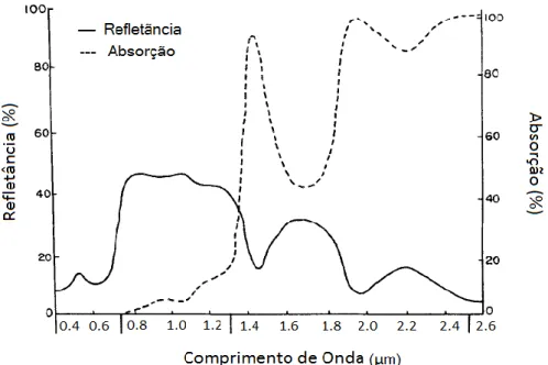 Figura 3.2 - Curva de Refletância e Absorção Espectral da Vegetação [Adaptado de Roy, 1989]