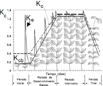 Figura 3.4 – Definições da FAO para a curva do coeficiente cultural (Kc), mostrando o coeficiente cultural basal (Kcb), a  evaporação do solo (Ke) e os valores médios de Kc [Adaptado de Hoffman et al., 2007]