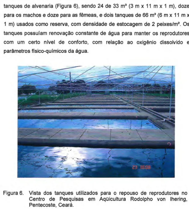 Figura 6. Vista dos tanques utilizados para o repouso de reprodutores no  Centro de Pesquisas em Aqüicultura Rodolpho von lhering,  Pentecoste, Ceará