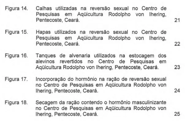 Figura 14.  Calhas utilizadas na reversão sexual no Centro de  Pesquisas em Aqüicultura Rodolpho von lhering, 