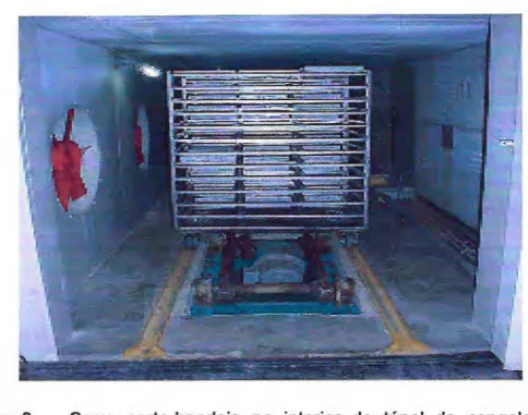 Figura 6 - Carro porta-bandeja no interior do túnel de congelamento da  Indústria Acaraú Pesca, Acaraú-CE 