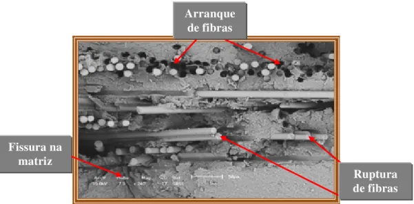 Figura 4.11 – Arranque, ruptura de fibras e fissuras na matriz – Cp’s LMOF. 