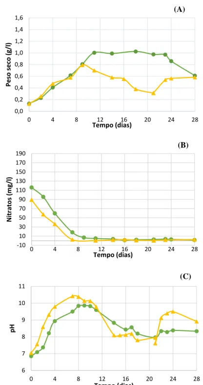 Fig. 16 – Crescimento (A), consumo de nitratos (B) e variação de pH (C) em culturas de  N