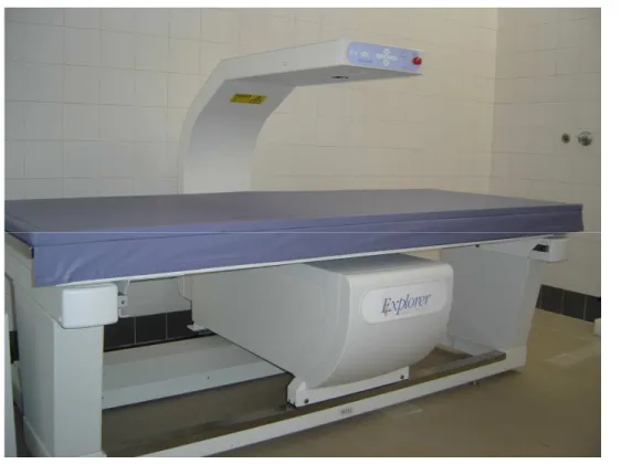 Fig. 2 – DEXA 