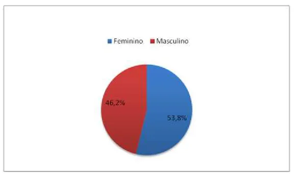 Gráfico 1 - Divisão amostral por sexo 