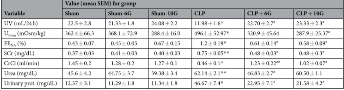 Table 1.  Pathophysiological parameters in sepsis-induced AKI. The urine volume (UV); urinary osmolality  (U OSM ); sodium fractional excretion (FE NA ), creatinine (SCr), creatinine clearance (CrCl), BUN and urinary  protein were different significantly i