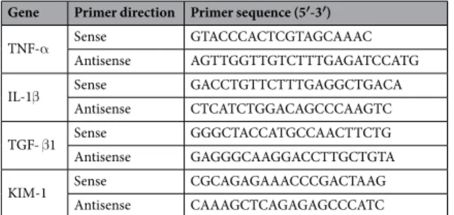 Table 2.  Oligonucleotide sequences of primers used for RT-qPCR.
