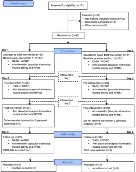 Figure 2. Flow diagram representing enrollment, allocation, follow-up, and analysis for  manipulation and sham groups