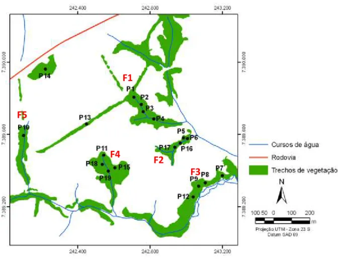 Figura 4: Área de estudo na região da microbacia do rio Ipaneminha – Sorocaba-SP, com a localização  dos cinco fragmentos florestais estudados (F1 a F5) na área de referência e a localização das 