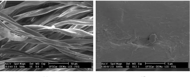 Figura 4. 4- Imagens das fibras do tecido de algodão do tipo jeans obtidas pelo MEV,  com ampliação de: (a) 24X  –  1 mm, (b) 100X  –  200 µm, (c) 500X  –  50 µm e (4) 5000X  –  5 µm