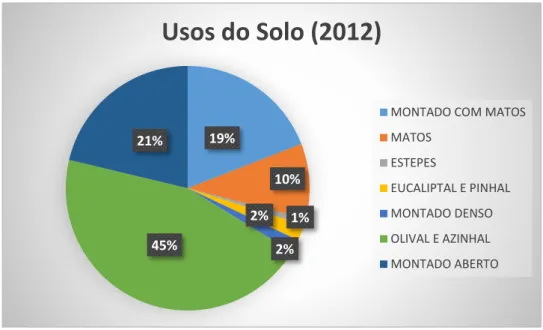 Figura 6  – Percentagem de usos do solo no total das ilhas no ano de 2012. Adaptado do 3º Relatório  de Inventariação Biológica nas Ilhas de Alqueva, 2013 