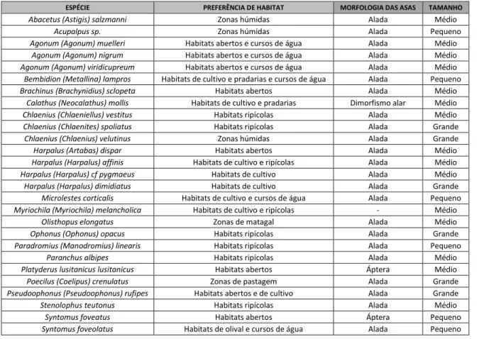 Tabela I – Preferência de habitat, morfologia de asas e tamanho das 27 espécies novas na área de  estudo