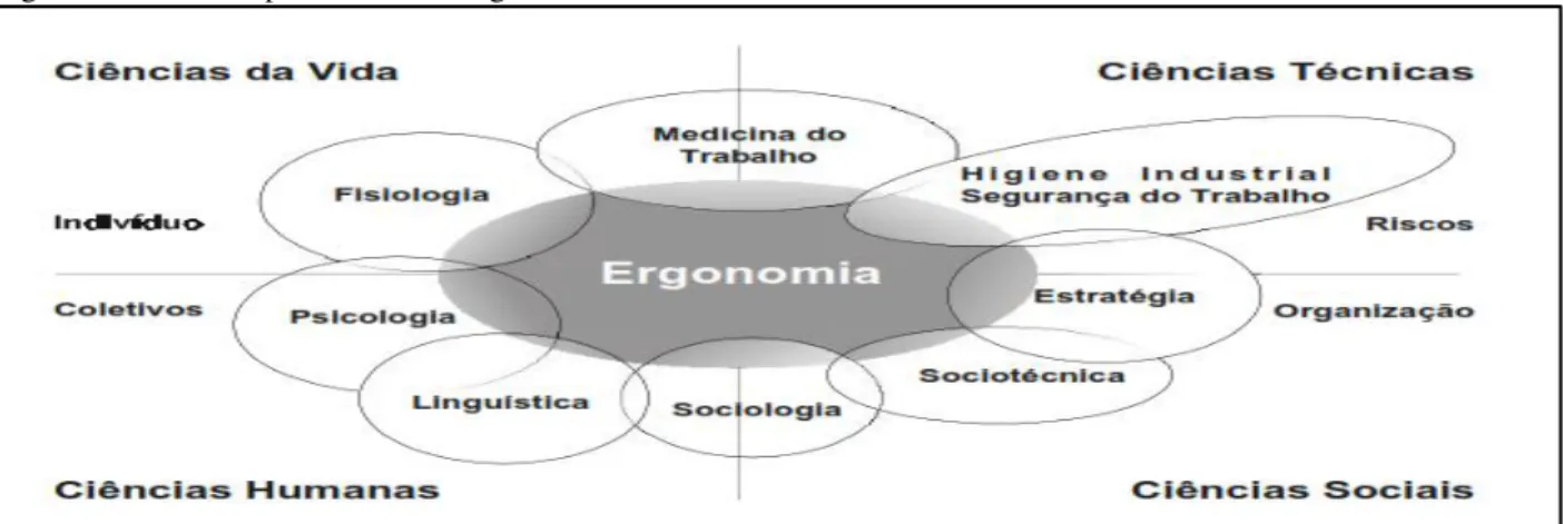 Figura 1 – Interdisciplinaridade da ergonomia. 