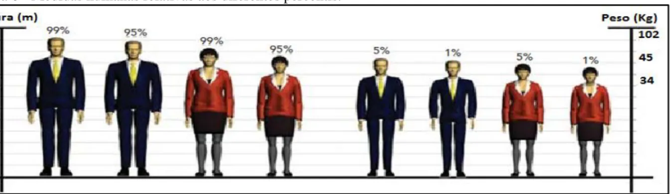 Figura 6 - Medidas humanas relativas aos diferentes percentis. 
