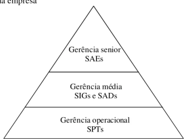 Ilustração 2 - Níveis de uma empresa 