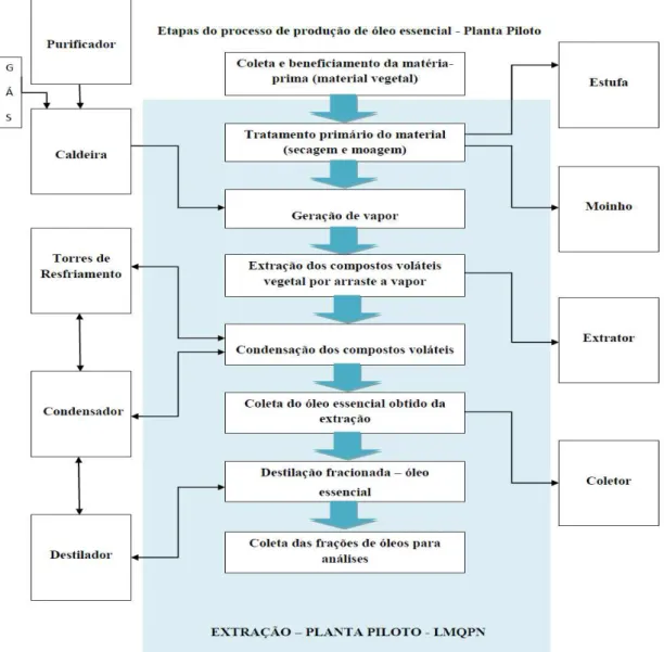 Figura 4 - Etapas do processo de produção de óleos essenciais  