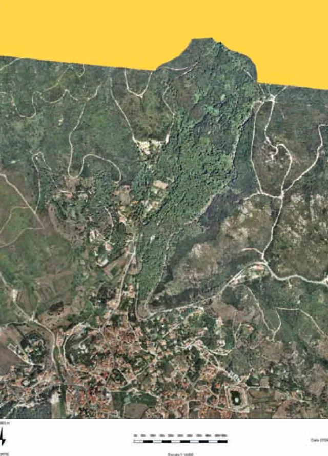 FIG. 1-3.   Fotografia aérea da região onde se encontra a Gruta de Porto Covo (área densamente arborizada)