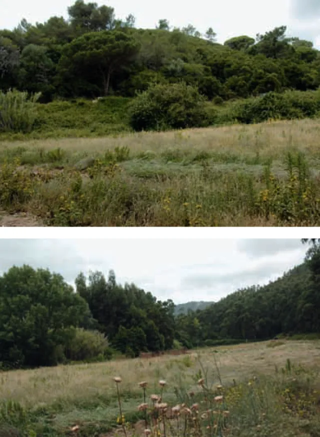 FIG. 1-4.   (em cima) Acesso à gruta, actualmente escondido pela densa arborização. (em baixo) O vale da Ribeira de Porto Covo, hoje  completamente seca.