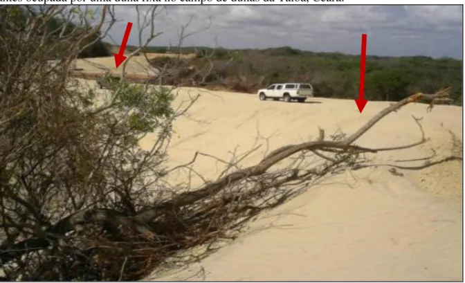 Figura 12 - Via de acesso (para os pontos onde serão instalados os aerogeradores) sobre área  antes ocupada por uma duna fixa no campo de dunas da Taíba, Ceará