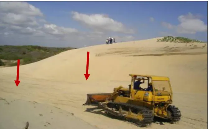 Figura  15  -  A  duna  foi  seccionada  para  a  implantação  de  uma  via  de  acesso  no  campo  de  dunas da Taíba, Ceará.