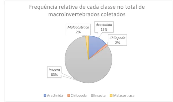 Figura 5 - Gráfico das frequências relativas de cada classe no total de macroinvertebrados recolhidos