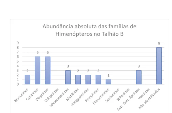 Figura 14 - Gráfico da abundância absoluta (ni) das famílias de Himenópteros no Talhão B (Produção  Biológica)