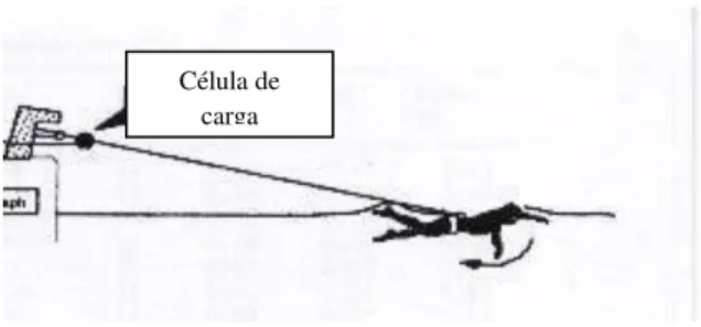 Figura 3 3. Nado amarrado  