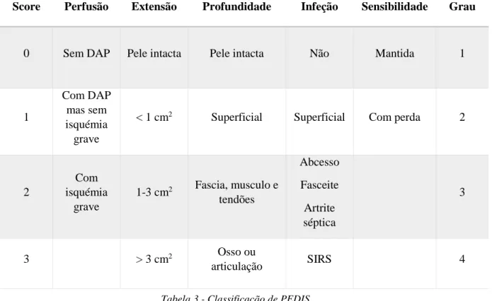Tabela 2 - Classificação de risco da DGS 
