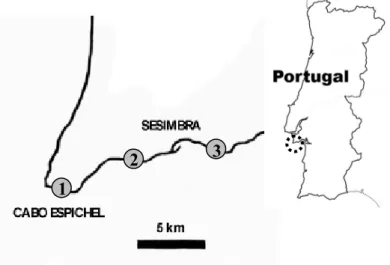 Figure 1. Map of the study area showing the location of E. pedroi populations (grey  circles)