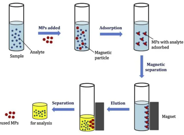 Fig. 1.4. General procedure of magnetic SPE. 55 