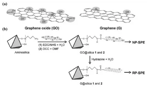 Fig. 1.6. (a) Models of GO and graphene sheets. The shadowed sections indicate the polar groups in the  GO and graphene sheets