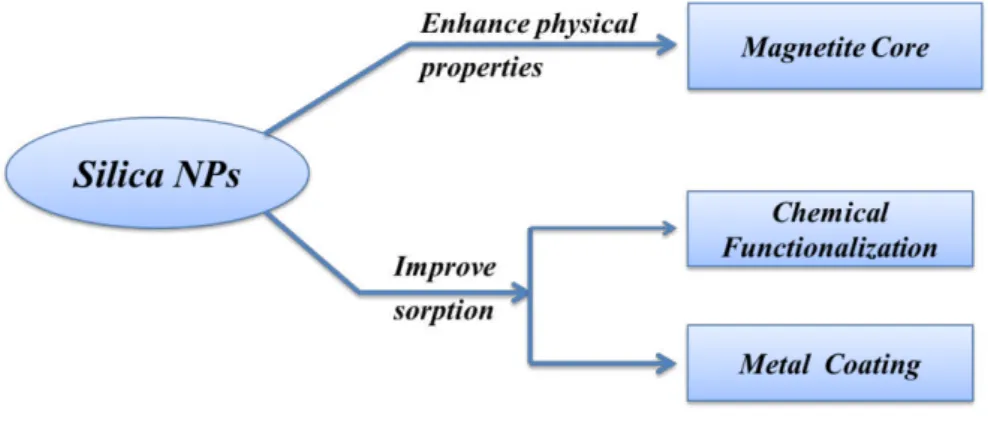 Fig. 1.7. Main strategies of functionalization/modification of silica NPs. 